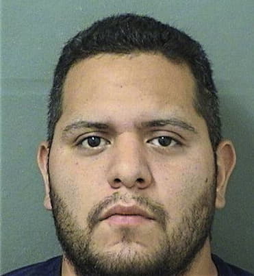 Cesar Domingosanchez, - Palm Beach County, FL 